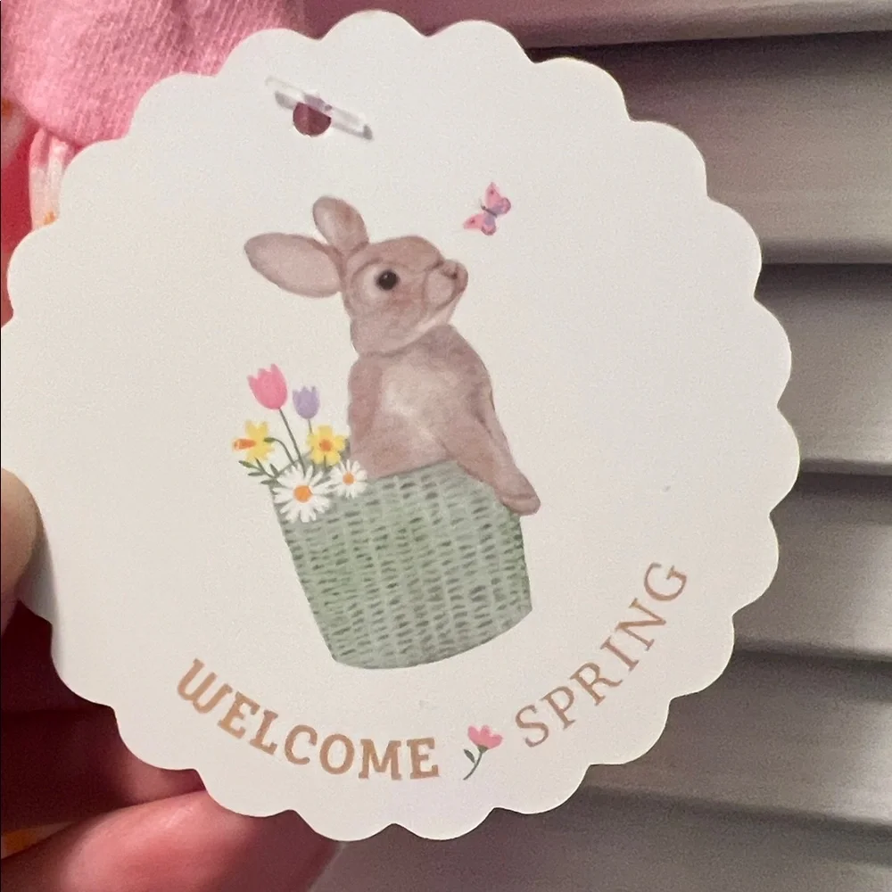 #1507+ Pet Pink Dress with Bunny Ears Headband